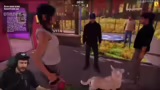 Tierheim-Simulator: Adoptione…