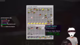 Minecraft-Herausforderungen,…