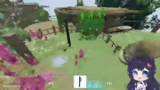 Community-Server, Tierrettung…