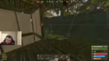 Hühner, Beeren und Battle.net