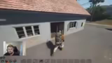 Vanilla-Spiel und Tierverhalt…