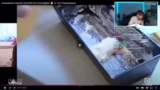 Besuch bei den Schläckers und…