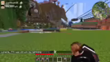 Problemlösung beim Villager T…