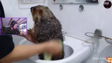 ️ICH KANN DAS.. alles nicht mehr️ stream…
