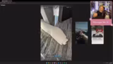 Just Chatting