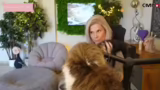 Tierische Interaktionen und M…