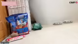 Katzenversicherungspartnersch…