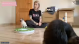 Tierpflege und Zukunftspläne