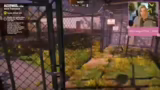 Animal Shelter 2