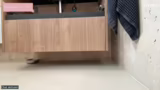 Kittenzimmer und neue Kratzbä…