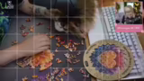 Fortschritte beim Puzzeln und…