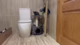 Vermittlung der Kitten und Pa…