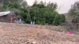 Grounded 2