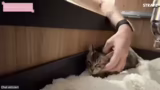Integration der Badezimmerkat…
