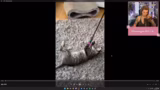Just Chatting