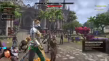 Gemeinsames Spiel in Elder Sc…
