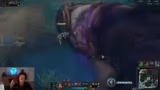 Morgana Jungle und Würfenstei…