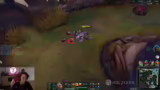 Diskussion über Nidalee Pick…