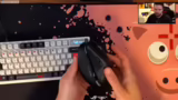 Vorstellung der neuen Asus Ha…