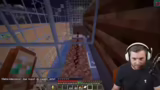 Neue Kaktusblütenfarm und Her…