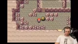Pokémon FireRed/LeafGreen