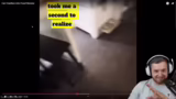Reacts auf Hugo-Video und Dai…