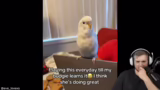 Reaction auf 'Daily Dose of P…