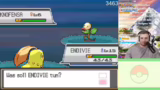 Shiny Hunting Route und Entwi…
