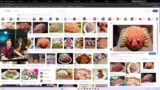 Diskussion über Kochstreams u…