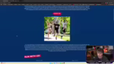 Technische Probleme und Commu…