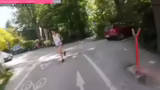 Sportliche Aktivität, Hundeal…