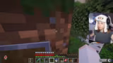 COBBLECLASH GEWINNEN