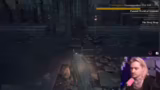 Estus-Scherben, Spinnenvieh u…