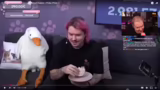 Just Chatting