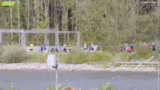 Die Gorillas erreichen das Zi…