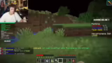 Minecraft Bingo, Tulpen-Suche…