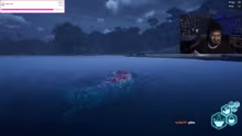Rumble in the Jungle !video