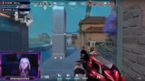 Valorant-Gameplay und Namensf…