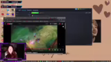 Abschluss des Streams und Aus…