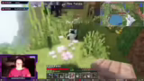 Mini-Roboter und Skins
