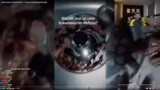 Thumbnail-Kritik und Ratten-A…