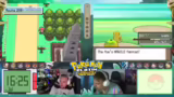 Pokémon-Team Anpassungen und…