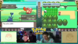 Spielstrategie und Pokémon-Be…