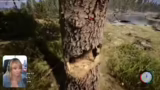 Sons of the Forest