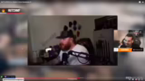 Kurzer Einblick in Mafia und…