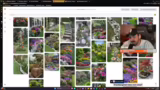 Weitere Gartenideen und Überl…