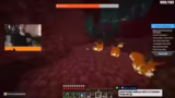 Nether-Erkundung und Festungs…