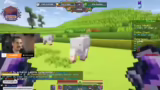 Item-Rerolling und neue PC-Pe…