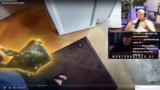 Dankbarkeit und Realitätscheck