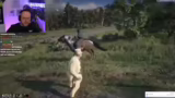 Rückkehr nach Black Dotter un…